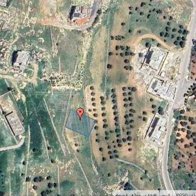 أرض في قرب شارع شفا بدران - 135,000 دأ - صورة 1