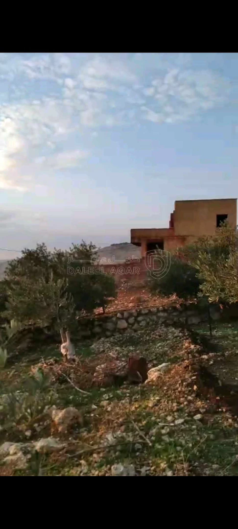 أرض في عمان ناعور - 40,000 دأ - صورة 1