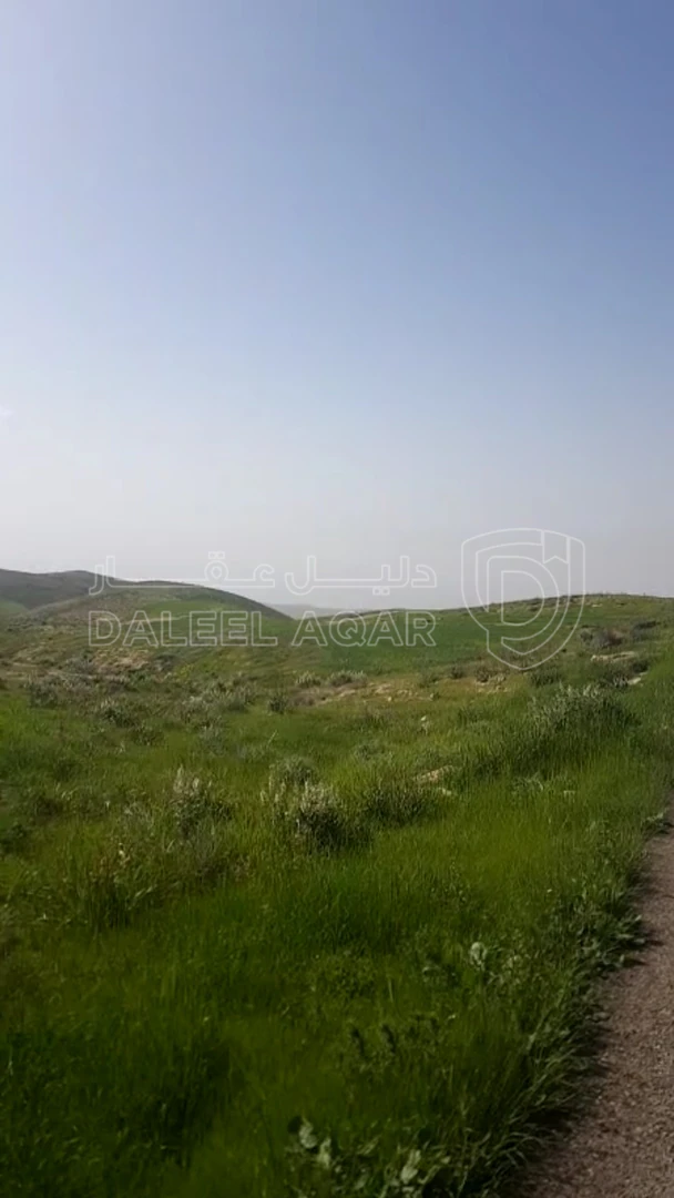 أرض في  مادبا - ماعين  - 27,000 دأ - صورة 1