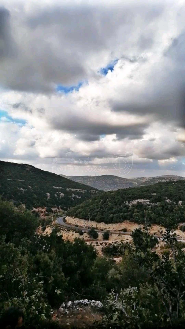 أرض في عجلون سوس راسون - 125,000 دأ - صورة 1