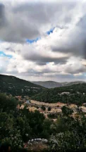 أرض في عجلون سوس راسون - 125,000 دأ - صورة NaN