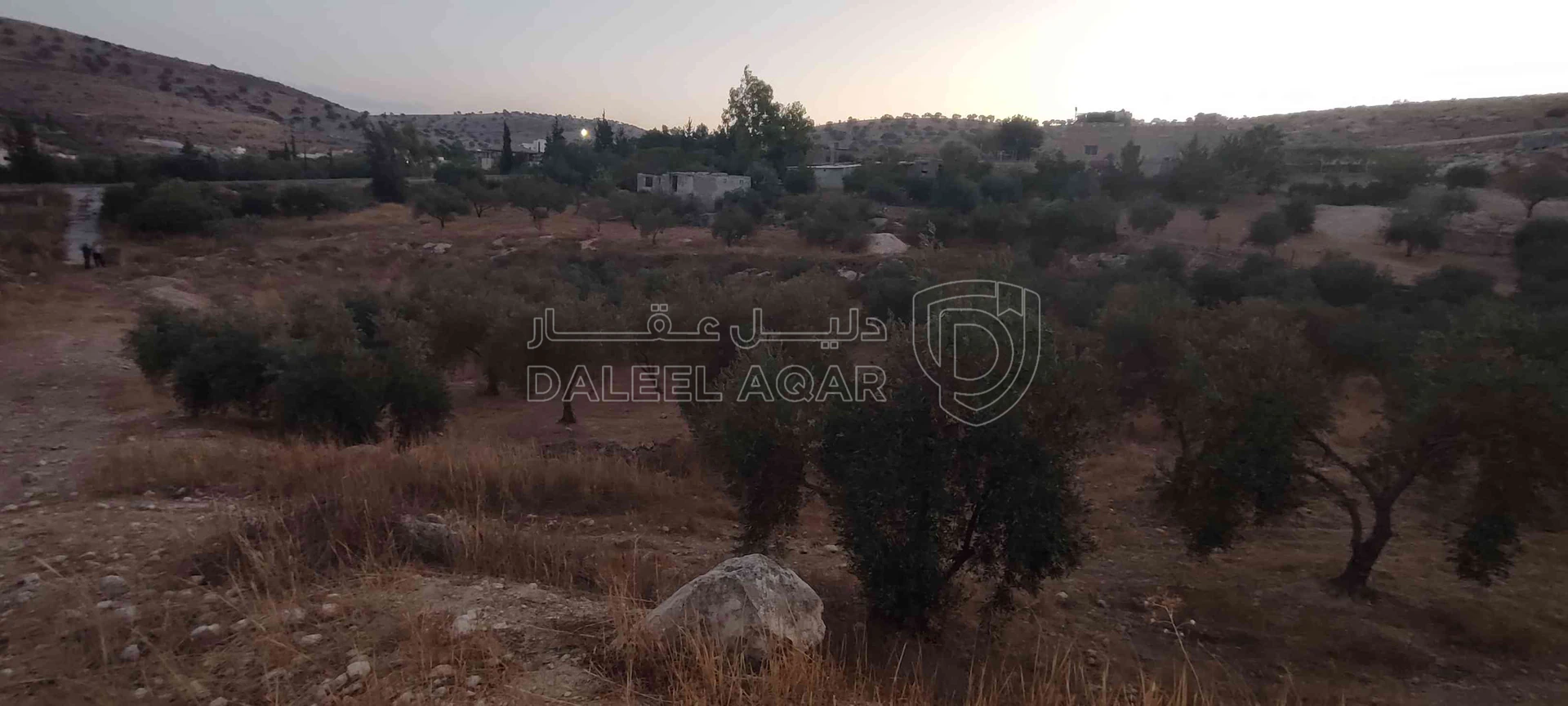 أرض في الزرقاء قضاء بيرين صروت  - 187,500 دأ - صورة 1