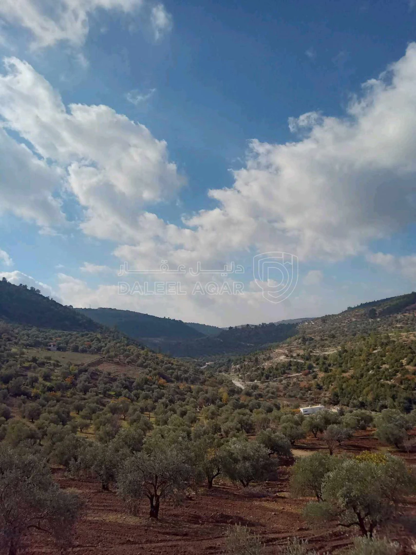 أرض في جبال شمال جرش ساكب - 64,800 دأ - صورة 1