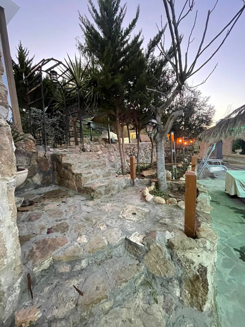 مزرعة/شاليه في شارع السرو  - 170,000 دأ - صورة 1
