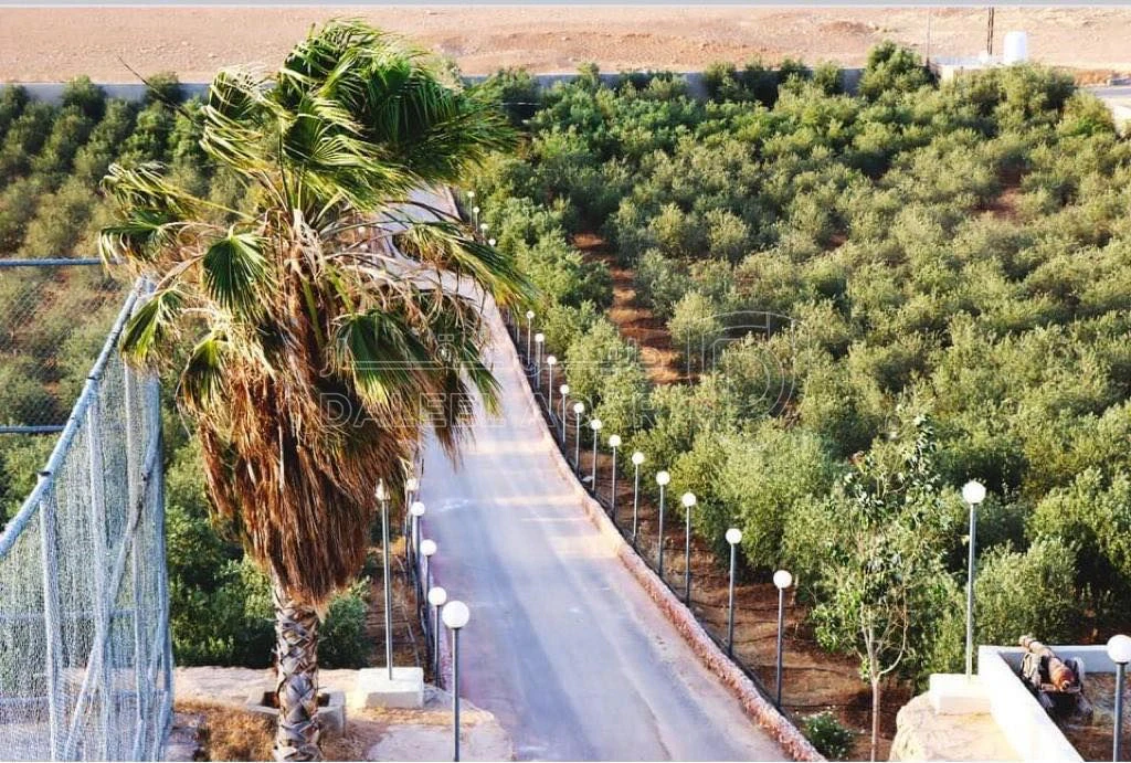 يحيى محمد احمد العبادي