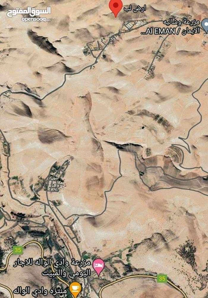 أرض في مادبا - لب - المنسف الغربي  - 9,000 دأ - صورة 1