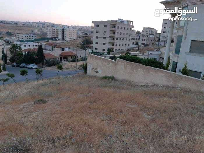 أرض في منطقة ياجوز ، شارع فتحي الصمادي - 185,000 دأ - صورة 1