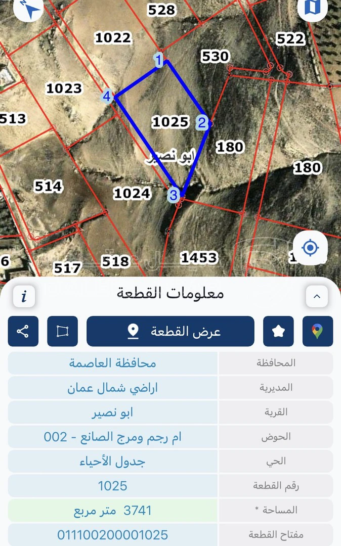أرض في ارض في ابونصير - 145,000 دأ - صورة 1