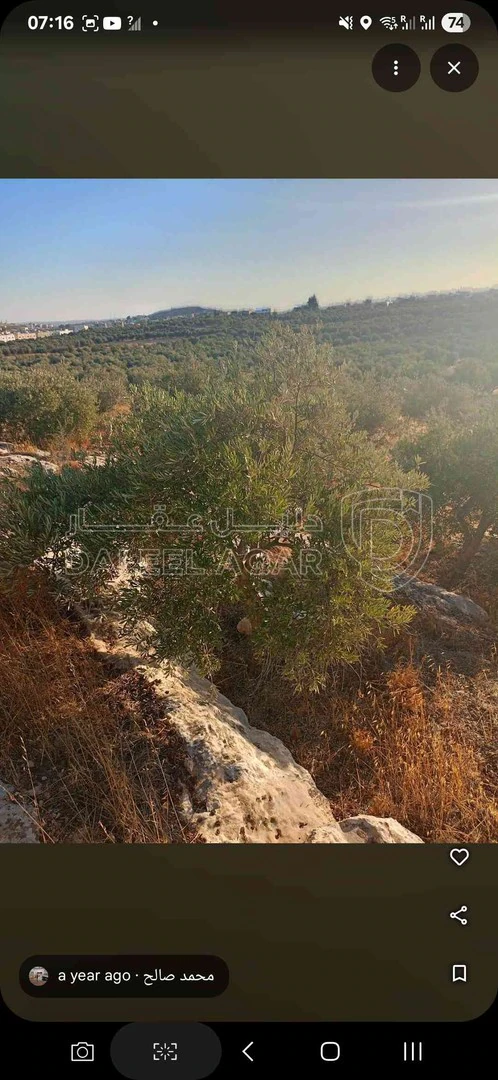 أرض في طريق مادبا الغربي - مقابل بلدية حسبان الجديد - 100,000 دأ - صورة 1