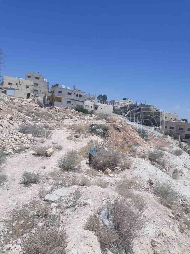 أرض في ارض للبيع في الزرقاء (جريبا ) - 25,500 دأ - صورة 1