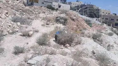 أرض في ارض للبيع في الزرقاء (جريبا ) - 25,500 دأ - صورة NaN
