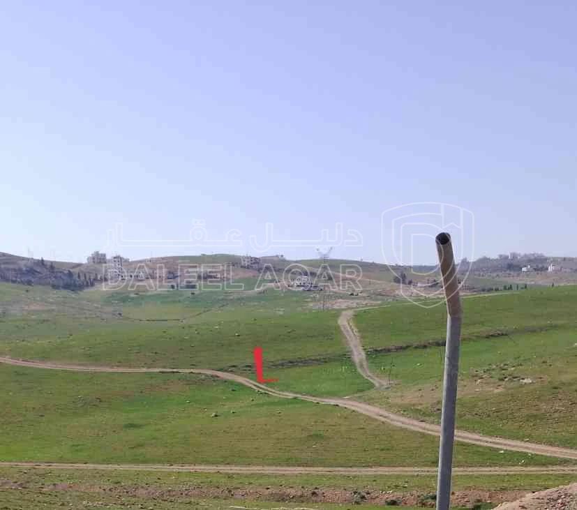 أرض في زينات الربوع - 48,000 دأ - صورة 1