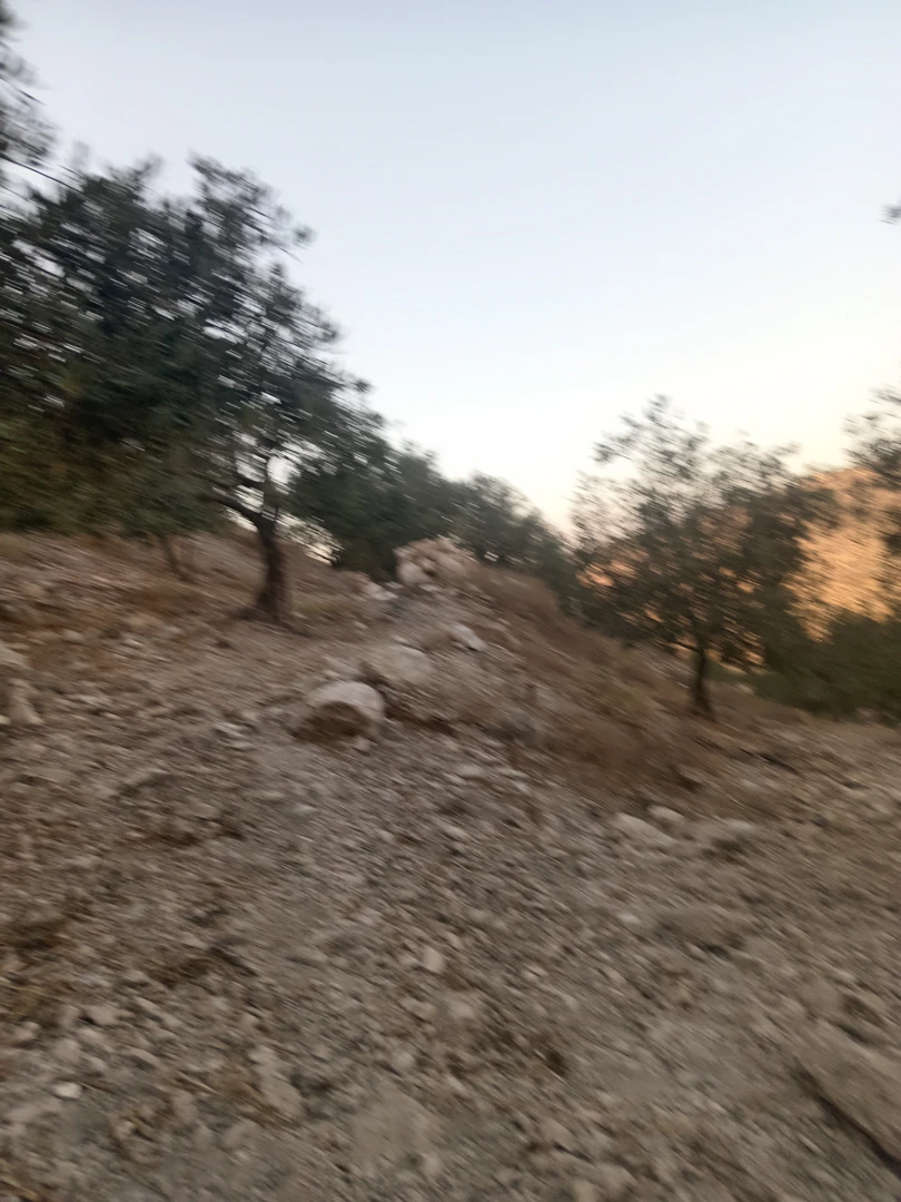 أرض في اراضي عنبه الحاره التحتى.. طريق النقيع - 140,000 دأ - صورة 1