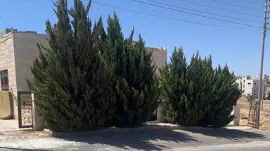 فيلا/منزل في حي الموحدين - 290,000 دأ - صورة NaN