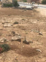 أرض في شفابدران ام العروق  - 75,000 دأ - صورة NaN