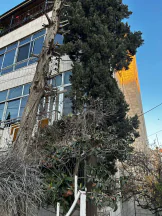 مبنى في شارع منصور السرحان  - 200,000 دأ - صورة NaN