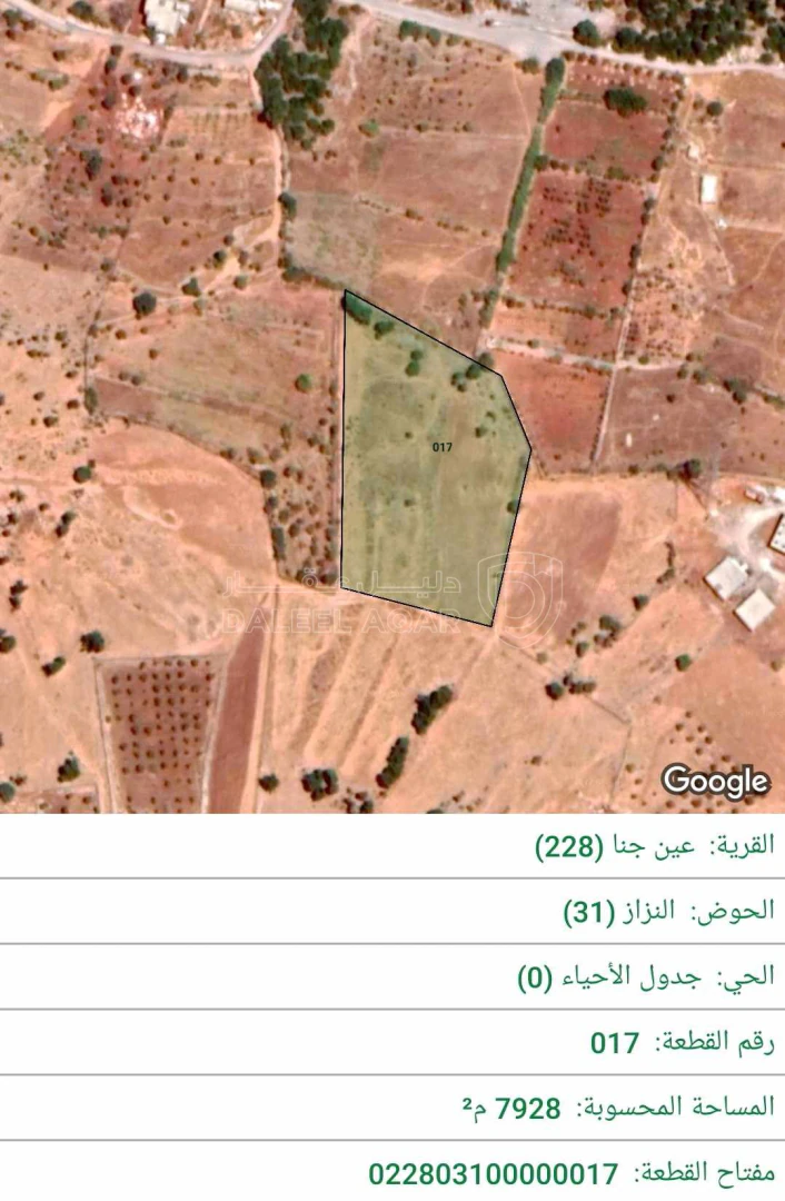 أرض في عجلون اشتفينا مقابل قلعة عجلون - 27,000 دأ - صورة 1