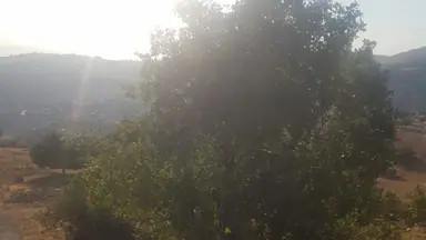 أرض في ابو السوس البيادر مقابل مسجد ابو السوس - 195,000 دأ - صورة NaN