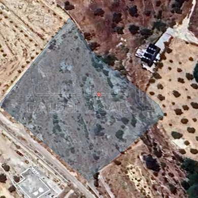 أرض في البلقاء _ اراضي السلط  - 130,000 دأ - صورة 1