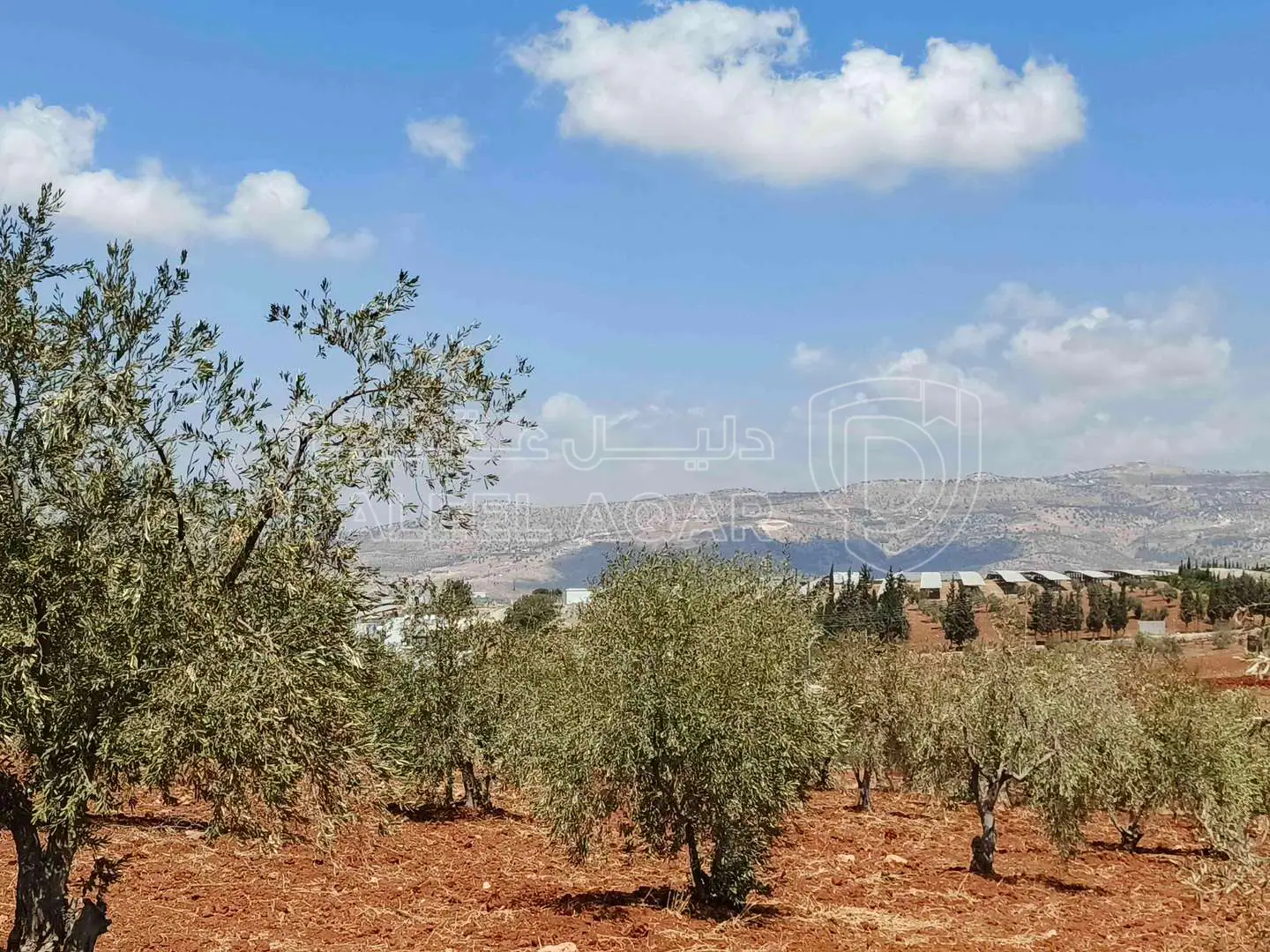 أرض في أرض للبيع - 75,000 دأ - صورة 1