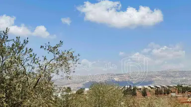 أرض في أرض للبيع  - 75,000 دأ - صورة NaN