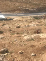 أرض في شفابدران ام العروق  - 75,000 دأ - صورة NaN