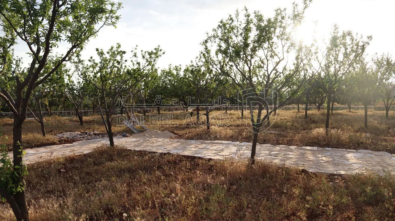 أرض في أرض سكنية للبيع في ناعور- 9 دقائق عن كازية السلام  - 79,000 دأ - صورة 1