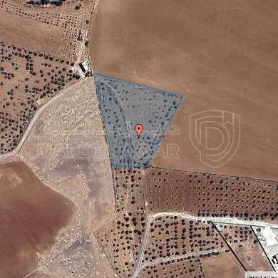 أرض في مادبا - الفيصلية  - 119,000 دأ - صورة 1