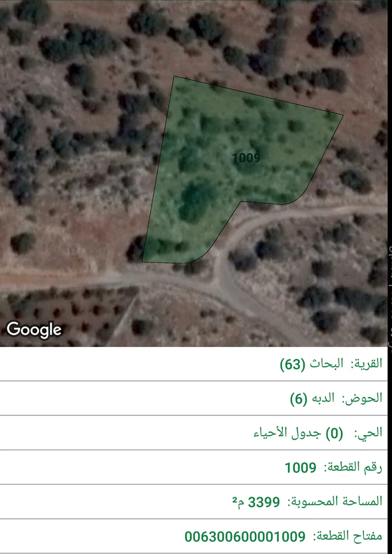 أرض في ابو السوس البيادر مقابل مسجد ابو السوس - 195,000 دأ - صورة 1