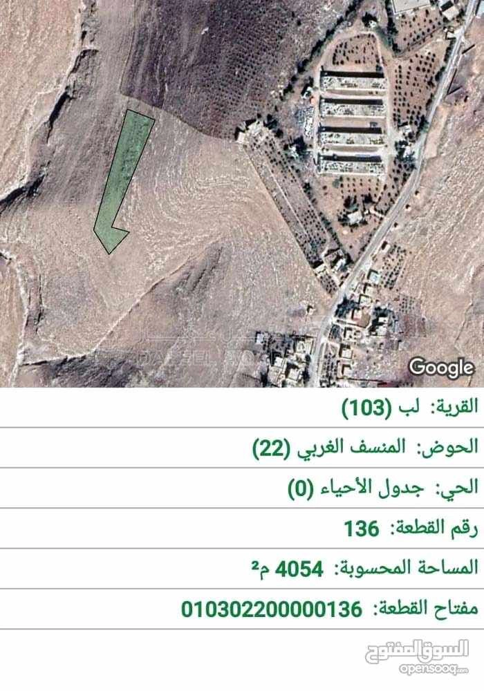 أرض في مادبا - لب - المنسف الغربي  - 9,000 دأ - صورة 1