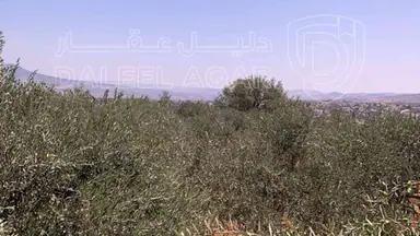 فيلا/منزل في الصبيحي - 500,000 دأ - صورة NaN