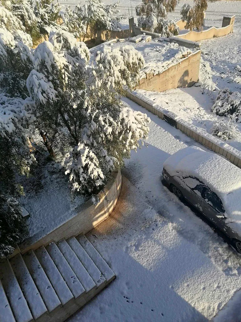 مبنى في المفرق .منشية بني حسن. وسط البلد  - 260,000 دأ - صورة 1