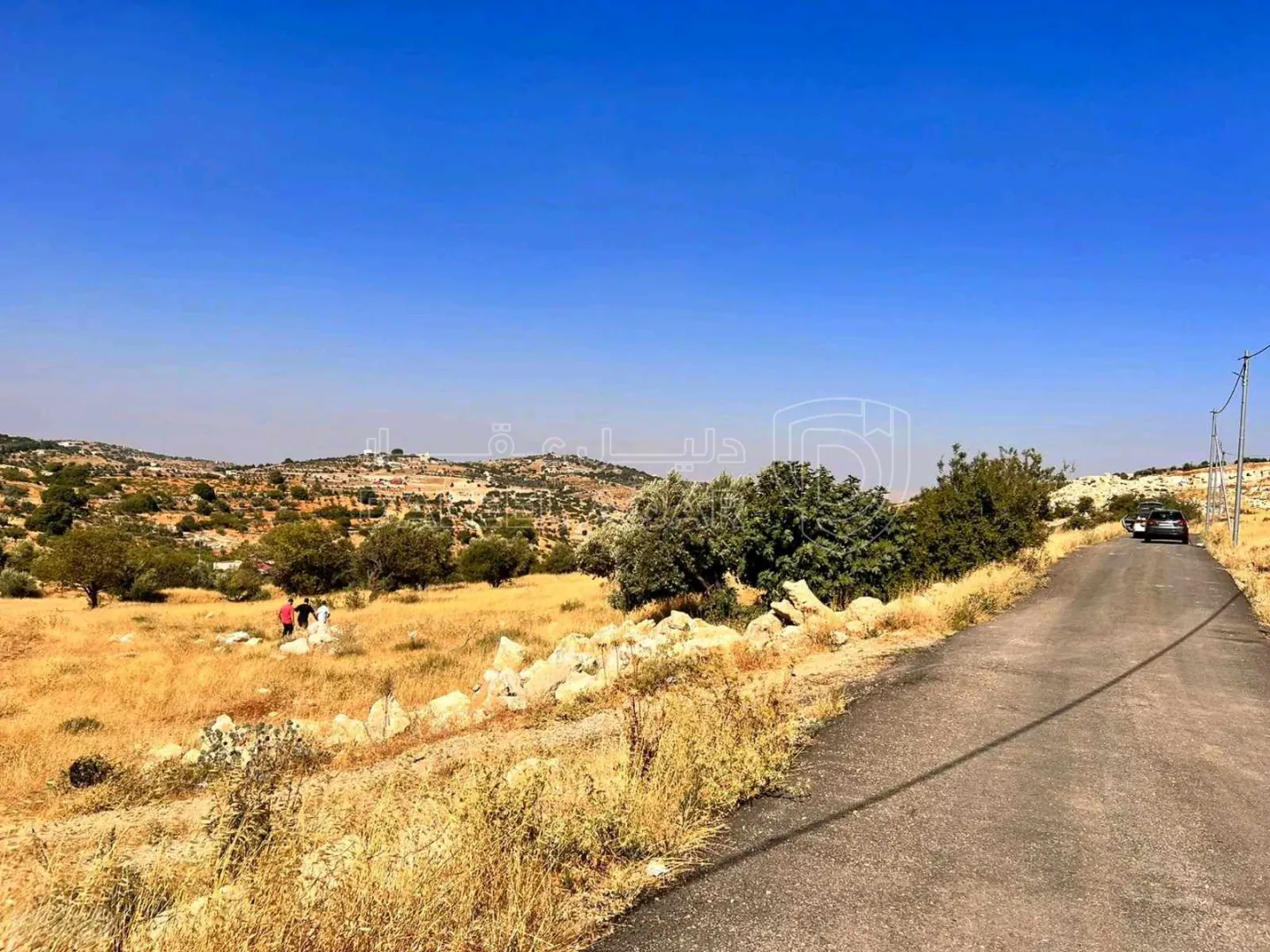 أرض في عجلون صخرة - حوض المشماس - 60,000 دأ - صورة 1