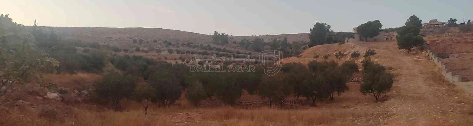 أرض في الزرقاء قضاء بيرين صروت  - 187,500 دأ - صورة 1