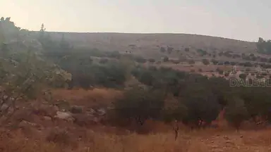 أرض في الزرقاء قضاء بيرين صروت  - 187,500 دأ - صورة NaN