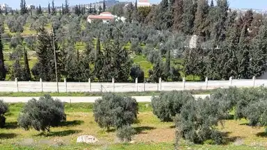 أرض في منطقة دحل طريق الزرقاء جرش - 50,000 دأ - صورة NaN