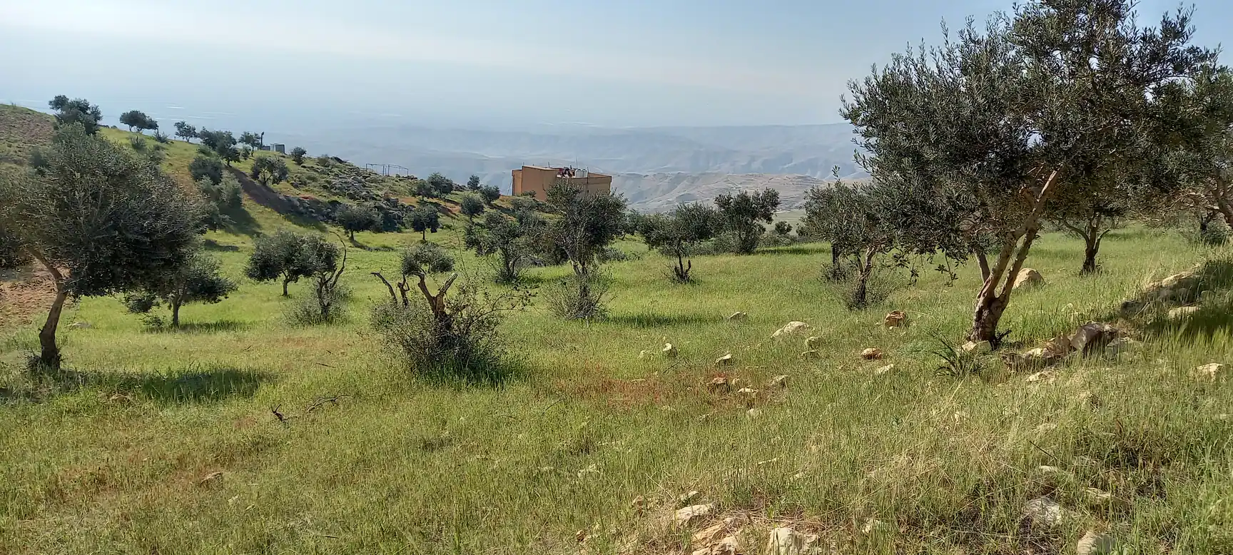 أرض في عمان ناعور منطقة تركي شارع العشرين - 120,000 دأ - صورة 1
