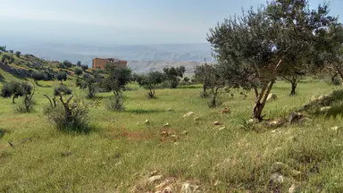أرض في عمان ناعور منطقة تركي شارع العشرين - 120,000 دأ - صورة NaN