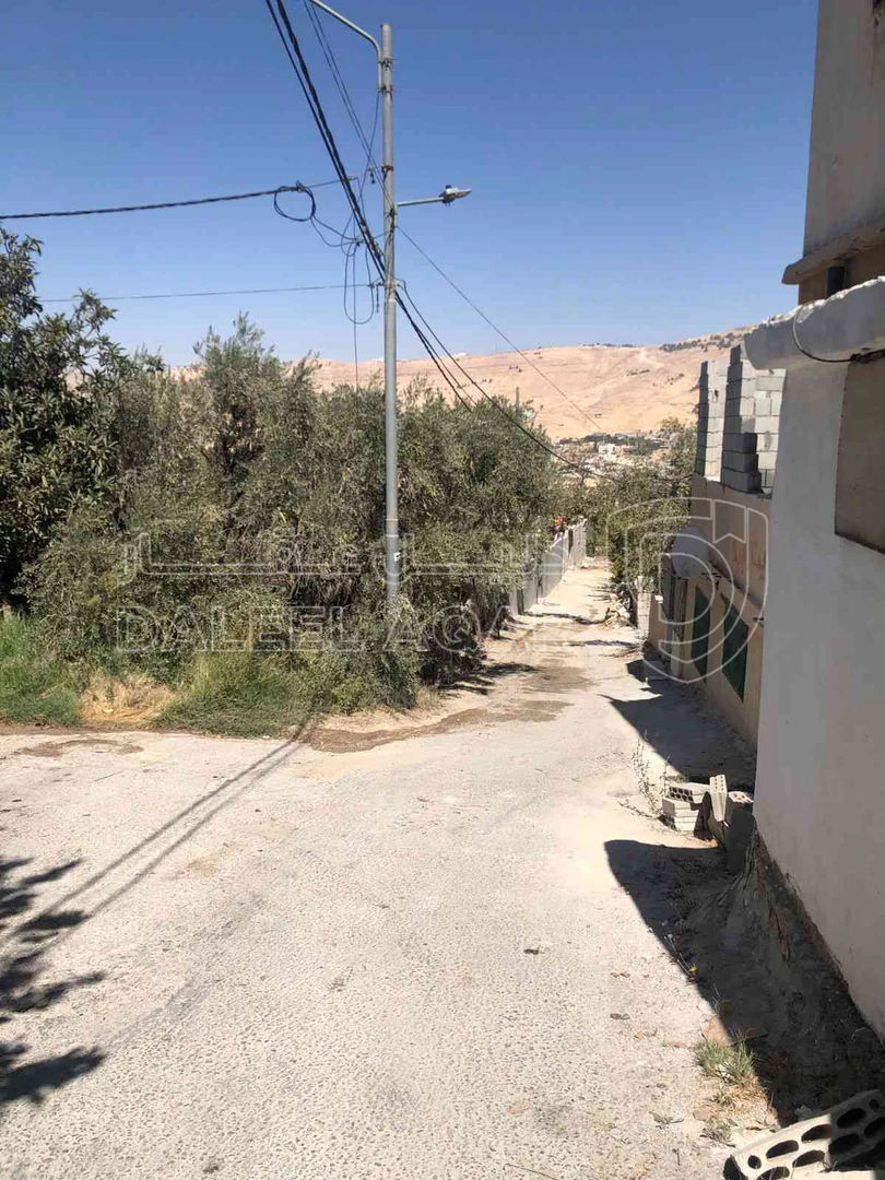 أرض في الطفيلة ام قرى - 25,000 دأ - صورة 1