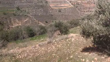 أرض في السلط الصبيحي منطقة بيوضه الشرقيه  - 180,000 دأ - صورة NaN