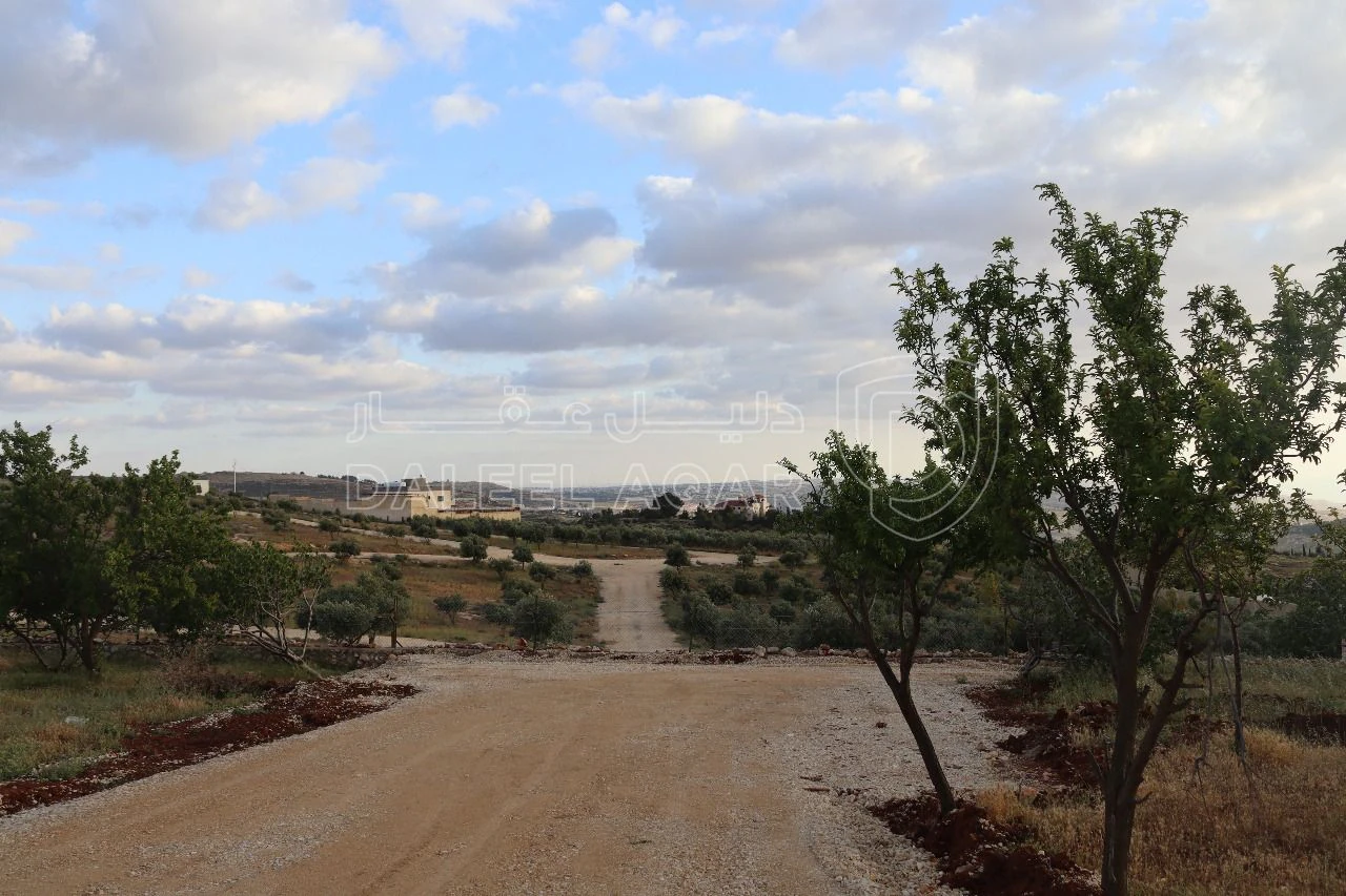 أرض في أرض سكنية للبيع في ناعور- 9 دقائق عن كازية السلام  - 79,000 دأ - صورة 1