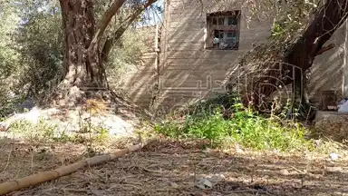 أرض في الطفيلة ام قرى - 25,000 دأ - صورة NaN