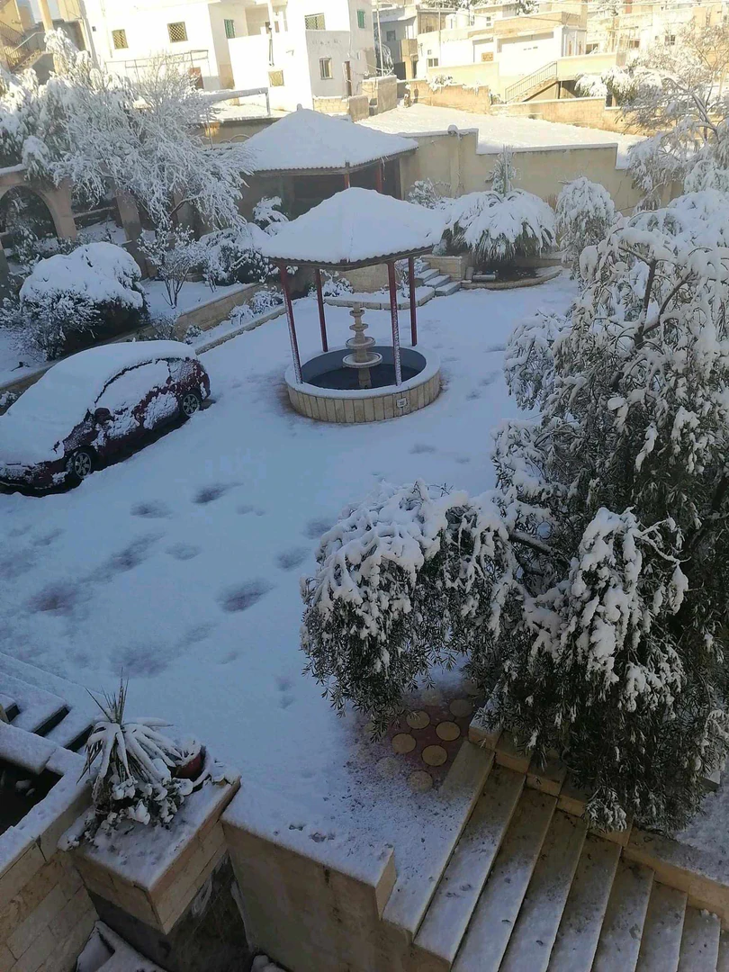 مبنى في المفرق .منشية بني حسن. وسط البلد  - 260,000 دأ - صورة 1
