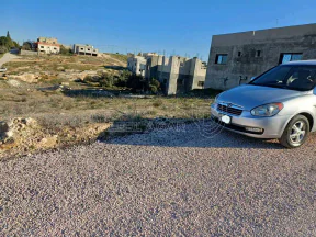 أرض في اربد بيت راس حوض عين النقاطة  - 21,500 دأ - صورة NaN