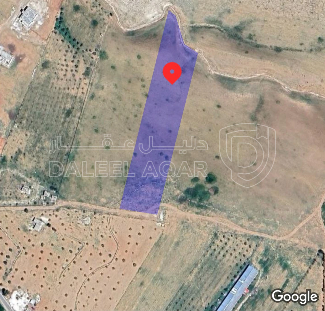 أرض في المفرق، الجنية  - 85,000 دأ - صورة 1