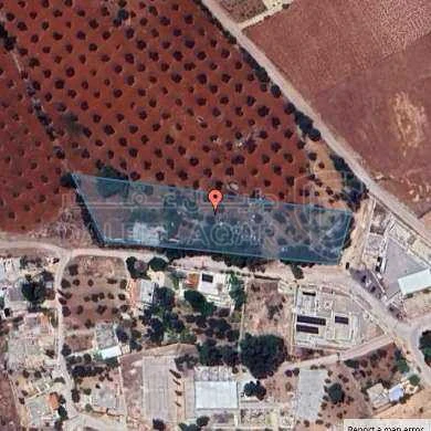 مزرعة/شاليه في البلقاء - سيحان - 110,000 دأ - صورة 1