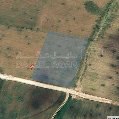 أرض في جلول مقابل اسطبلات عمر حجازي  - 83,000 دأ - صورة 1