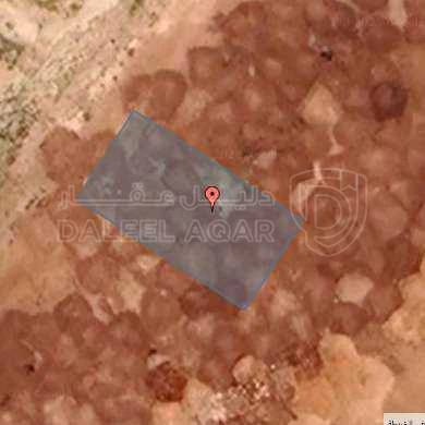أرض في عمان - الخمان الجنوبي - اللبن  - 77,000 دأ - صورة 1