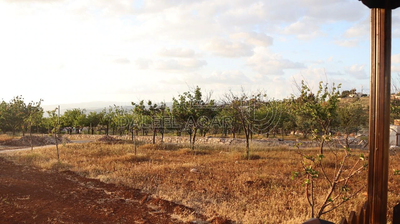 أرض في أرض سكنية للبيع في ناعور 9 دقائق عن كازية السلام - 80,000 دأ - صورة 1