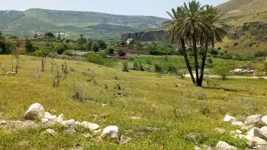أرض في اربد بني كنانه منطقة الحمة الاردنيه المسابح  - 13,800 دأ - صورة 1
